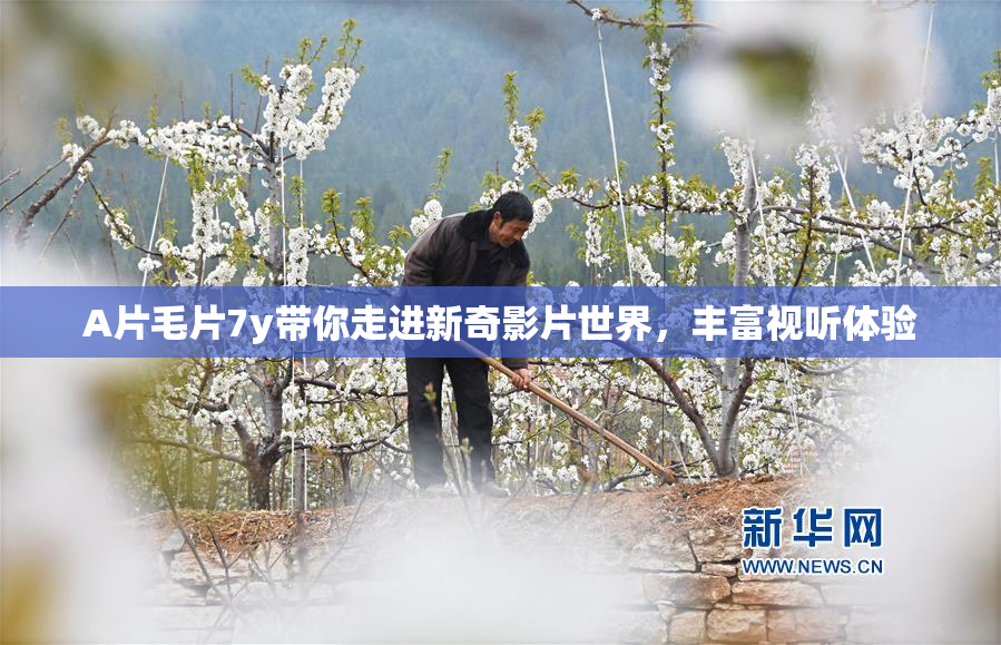 A片毛片7y带你走进新奇影片世界，丰富视听体验