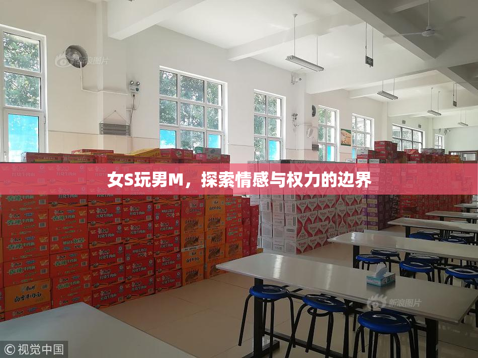 女S玩男M，探索情感与权力的边界