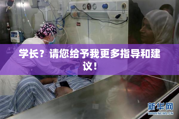学长？请您给予我更多指导和建议！