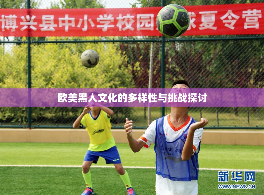 欧美黑人文化的多样性与挑战探讨