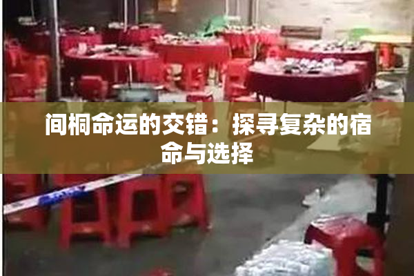 间桐命运的交错：探寻复杂的宿命与选择