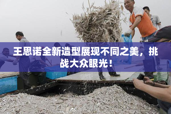 王思诺全新造型展现不同之美，挑战大众眼光！