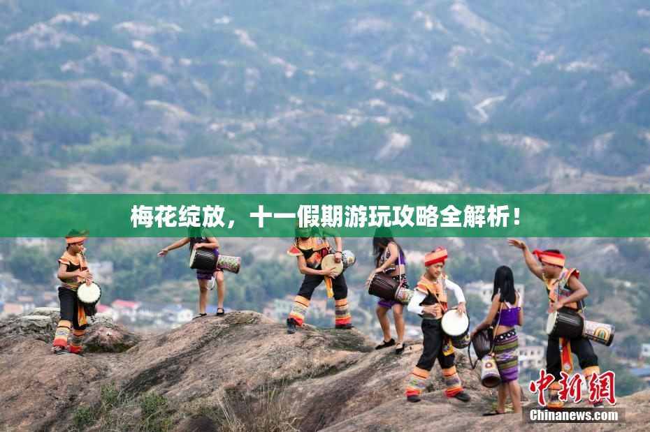 梅花绽放，十一假期游玩攻略全解析！