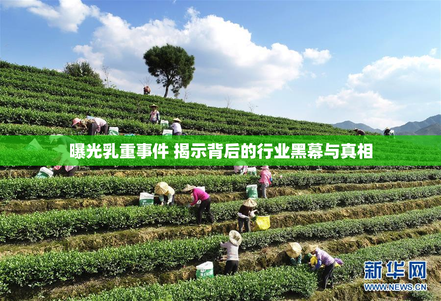曝光乳重事件 揭示背后的行业黑幕与真相