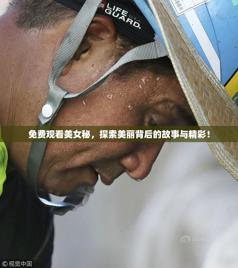 免费观看美女秘，探索美丽背后的故事与精彩！