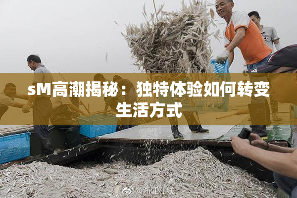 sM高潮揭秘：独特体验如何转变生活方式