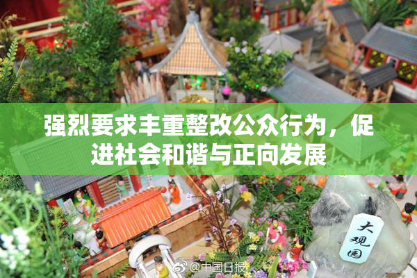 强烈要求丰重整改公众行为，促进社会和谐与正向发展