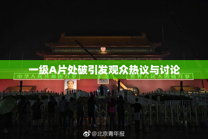一级A片处破引发观众热议与讨论