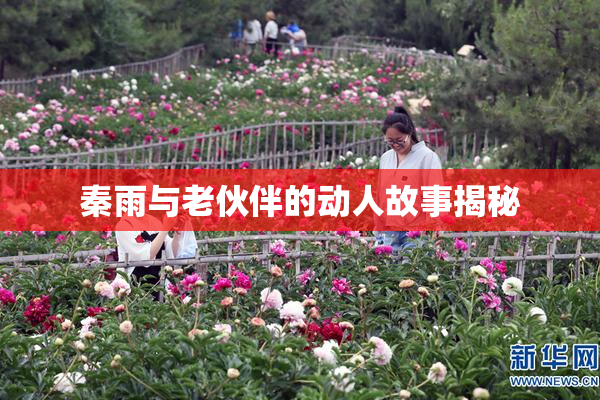 秦雨与老伙伴的动人故事揭秘