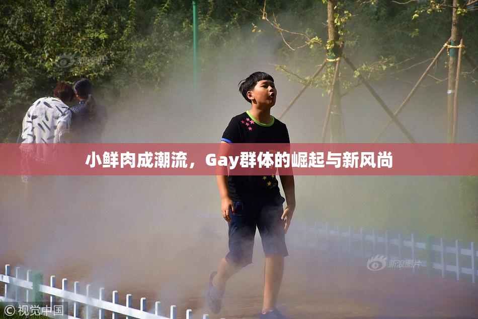 小鲜肉成潮流，Gay群体的崛起与新风尚