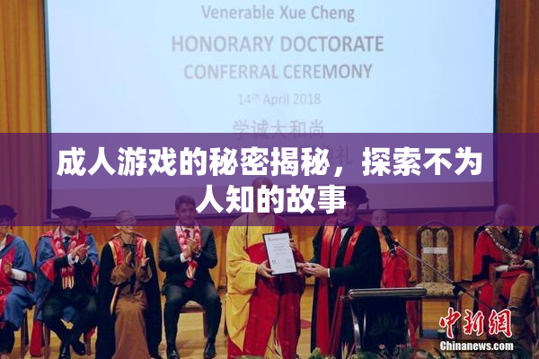 成人游戏的秘密揭秘，探索不为人知的故事