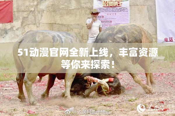 51动漫官网全新上线，丰富资源等你来探索！