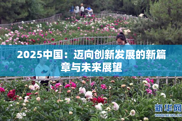2025中国：迈向创新发展的新篇章与未来展望