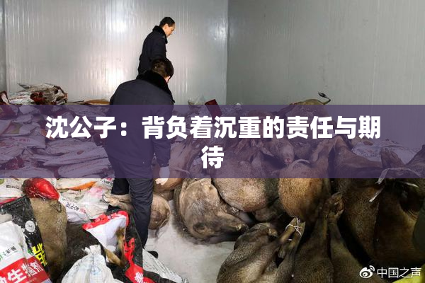 沈公子：背负着沉重的责任与期待