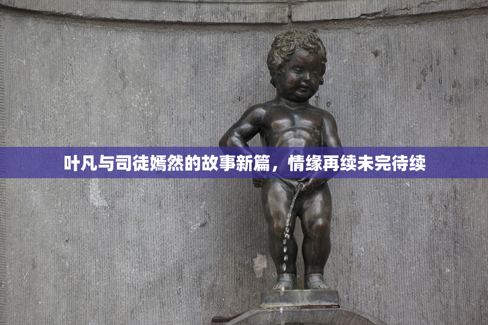 叶凡与司徒嫣然的故事新篇，情缘再续未完待续