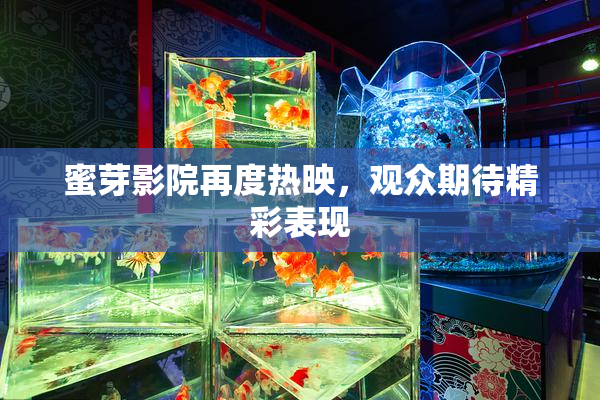 蜜芽影院再度热映，观众期待精彩表现