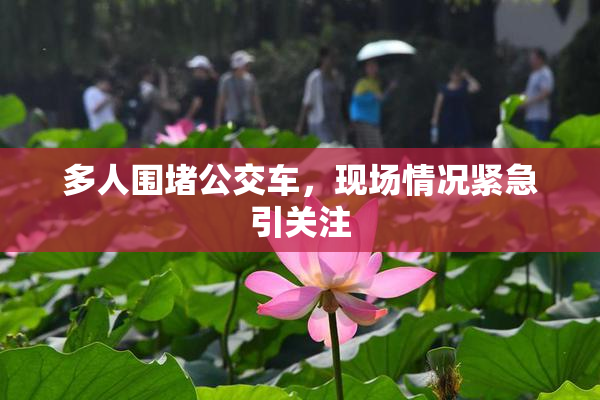 多人围堵公交车，现场情况紧急引关注