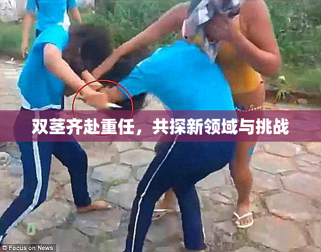 双茎齐赴重任，共探新领域与挑战