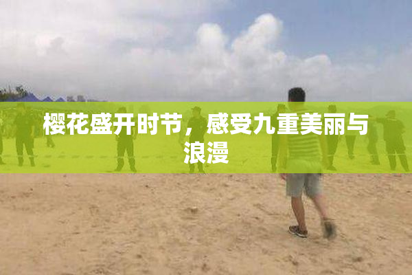 樱花盛开时节，感受九重美丽与浪漫