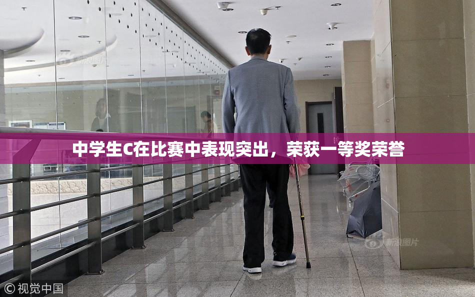 中学生C在比赛中表现突出，荣获一等奖荣誉
