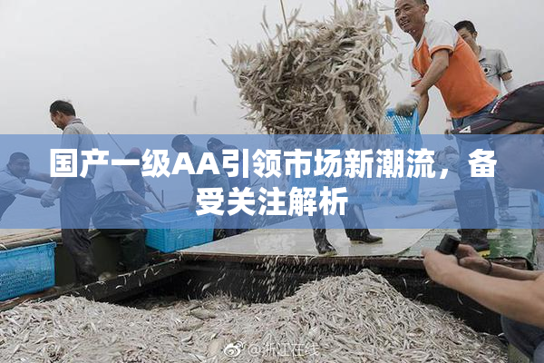 国产一级AA引领市场新潮流，备受关注解析