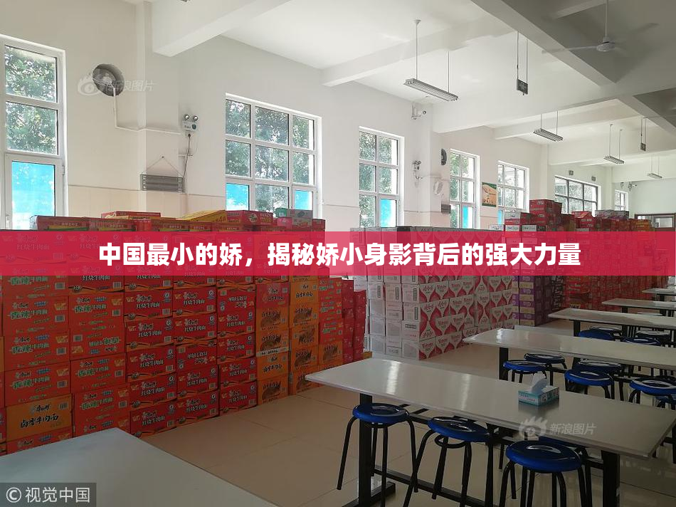 中国最小的娇，揭秘娇小身影背后的强大力量