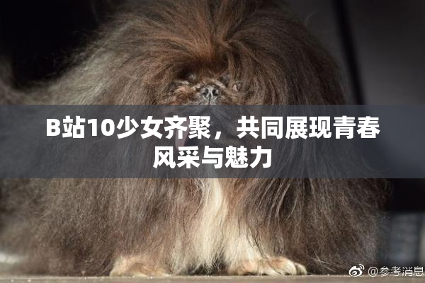 B站10少女齐聚，共同展现青春风采与魅力