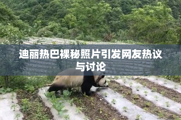 迪丽热巴裸秘照片引发网友热议与讨论