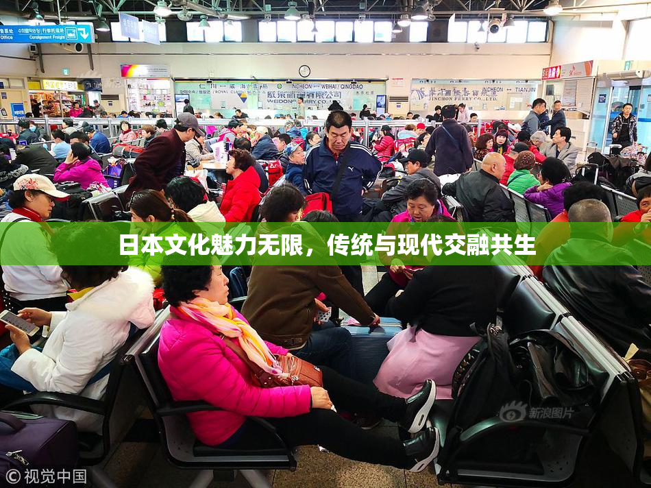 日本文化魅力无限，传统与现代交融共生