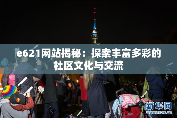 e621网站揭秘：探索丰富多彩的社区文化与交流