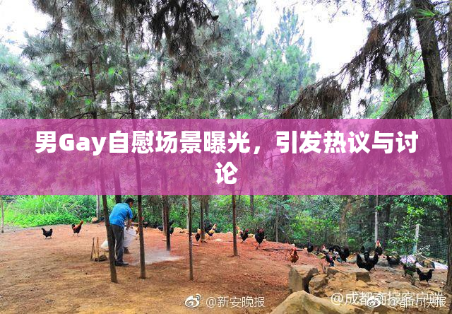 男Gay自慰场景曝光，引发热议与讨论