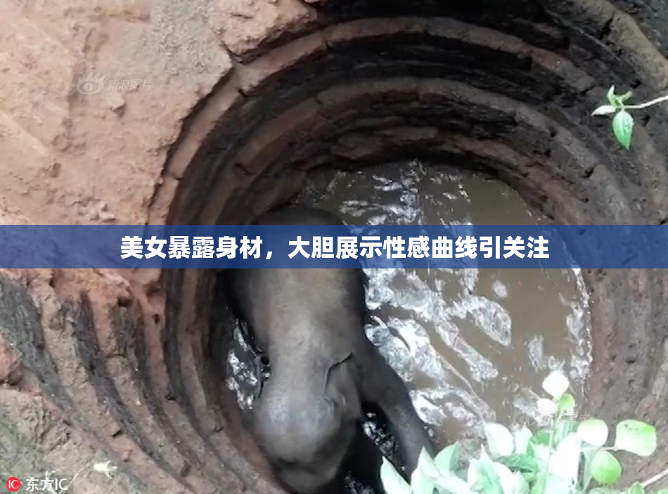 美女暴露身材，大胆展示性感曲线引关注