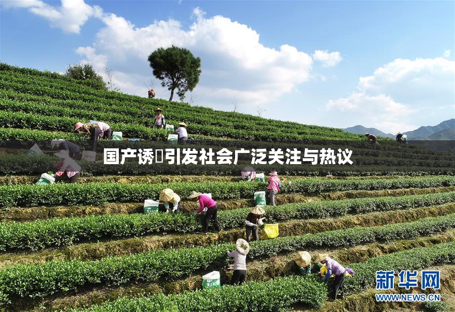 国产诱奷引发社会广泛关注与热议