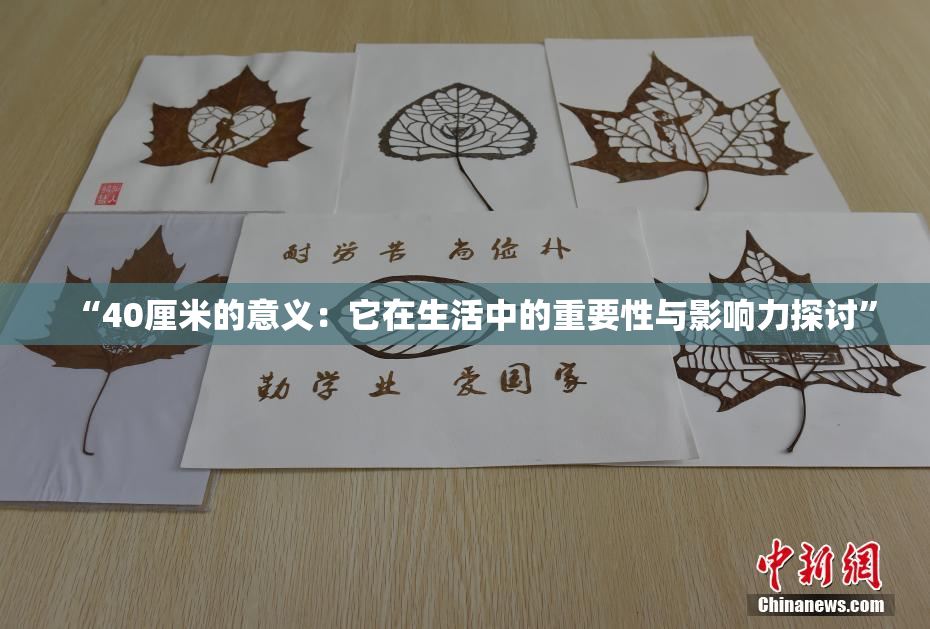 “40厘米的意义：它在生活中的重要性与影响力探讨”