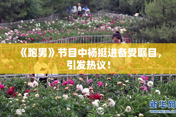 《跑男》节目中杨挺进备受瞩目，引发热议！