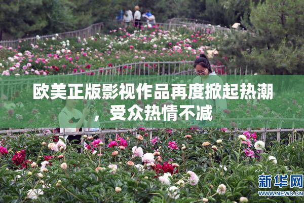 欧美正版影视作品再度掀起热潮，受众热情不减