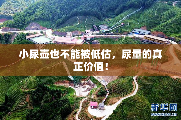 小尿壶也不能被低估，尿量的真正价值！