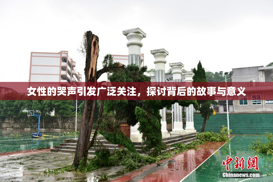 女性的哭声引发广泛关注，探讨背后的故事与意义