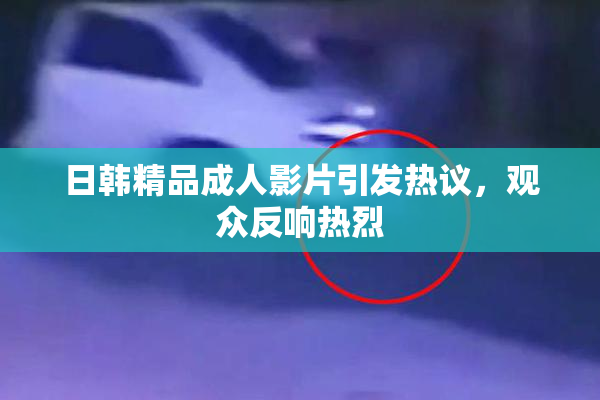 日韩精品成人影片引发热议，观众反响热烈