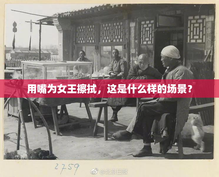 用嘴为女王擦拭，这是什么样的场景？