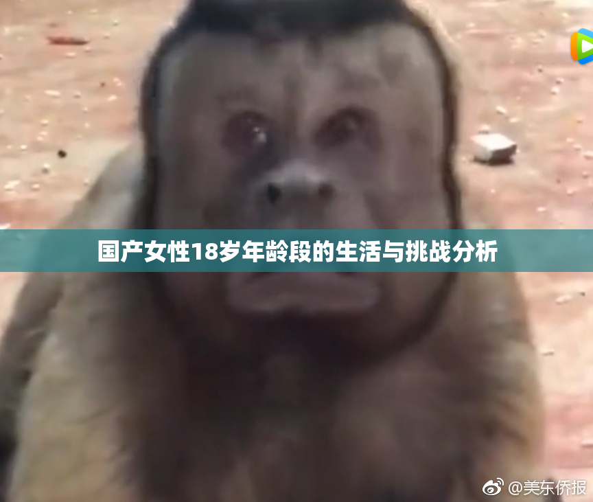 国产女性18岁年龄段的生活与挑战分析