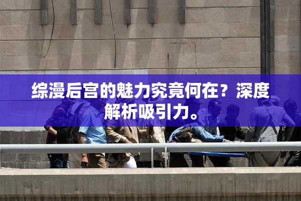 综漫后宫的魅力究竟何在？深度解析吸引力。