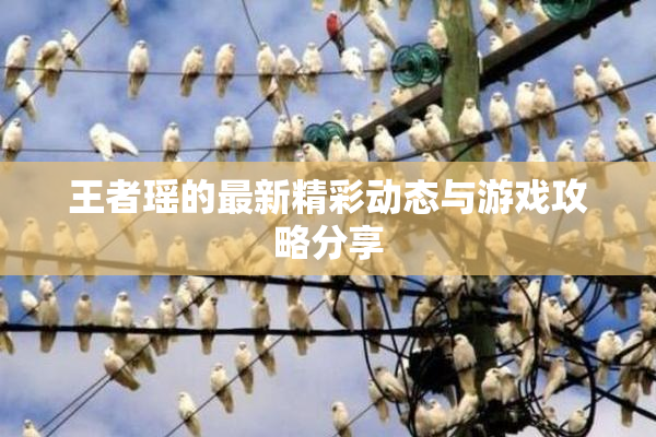 王者瑶的最新精彩动态与游戏攻略分享