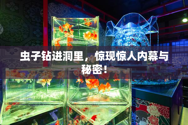 虫子钻进洞里，惊现惊人内幕与秘密！