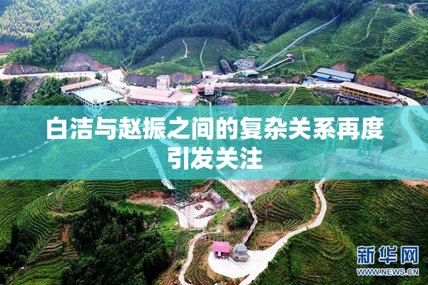 白洁与赵振之间的复杂关系再度引发关注
