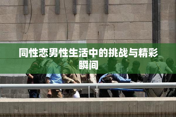 同性恋男性生活中的挑战与精彩瞬间