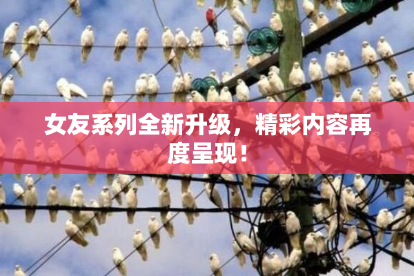 女友系列全新升级，精彩内容再度呈现！