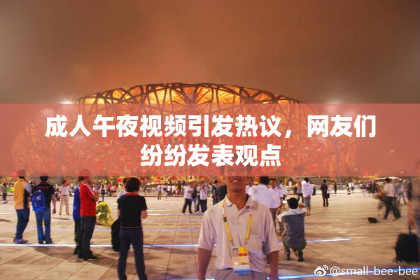 成人午夜视频引发热议，网友们纷纷发表观点
