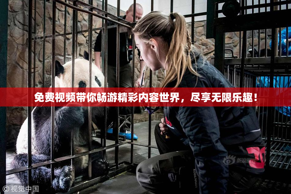 免费视频带你畅游精彩内容世界，尽享无限乐趣！