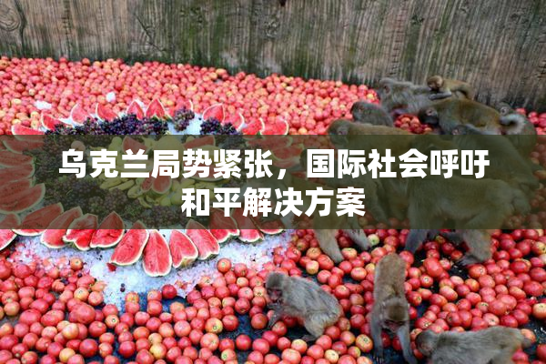 乌克兰局势紧张，国际社会呼吁和平解决方案
